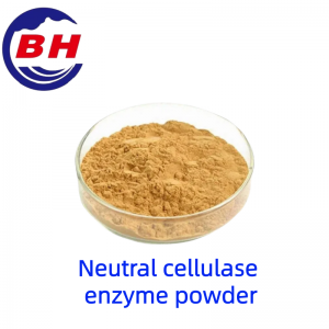 Neutral cellulase enzyme powder H8810
