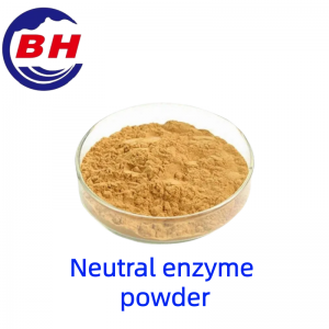 Neutral enzyme powder H8813